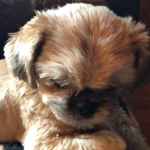 Meet your Posher, Megan